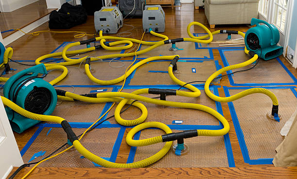 Professional Crawl Space Water Removal technician working in Georgetown, CA